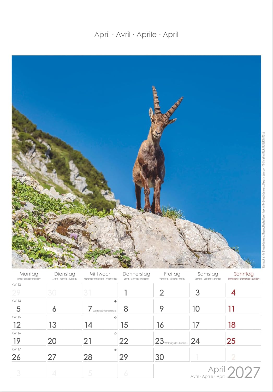 Alpen 2027: Wandkalender 23,7x34 cm mit 12 Alpenfotografien, 4-sprachigem Kalendarium und Platz für Notizen – Bild 3