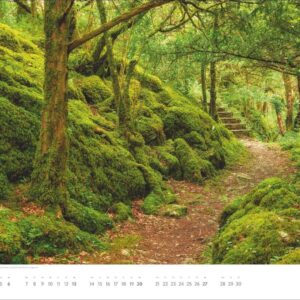 Auf Traumpfaden Posterkalender 2027: Großer Foto-Wandkalender. Landschafts-Kalender 2027 mit Fotos atemberaubender Wege. 44 x 34 cm. Querformat. – Bild 7