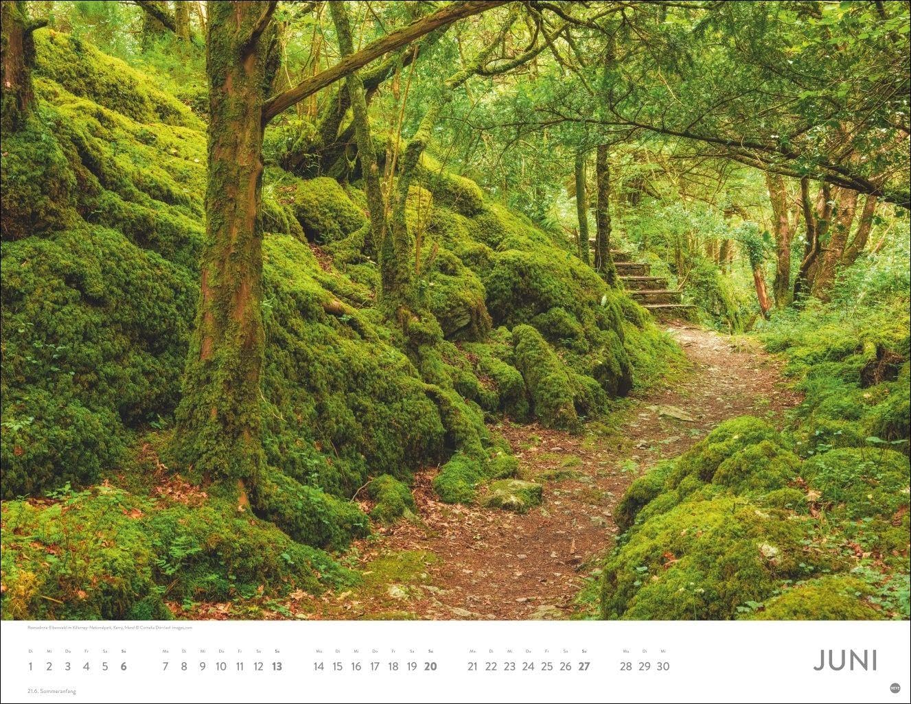 Auf Traumpfaden Posterkalender 2027: Großer Foto-Wandkalender. Landschafts-Kalender 2027 mit Fotos atemberaubender Wege. 44 x 34 cm. Querformat. – Bild 7