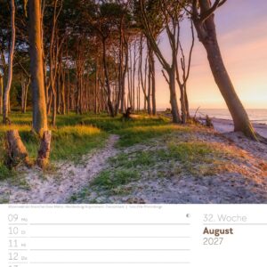 Unser Wald Wochenplaner Kalender 2027: Heimischer Natur-Wochenkalender im Hochformat (25x33 cm) | Mit Kreuzworträtseln, Sudokus & mehr – Bild 37