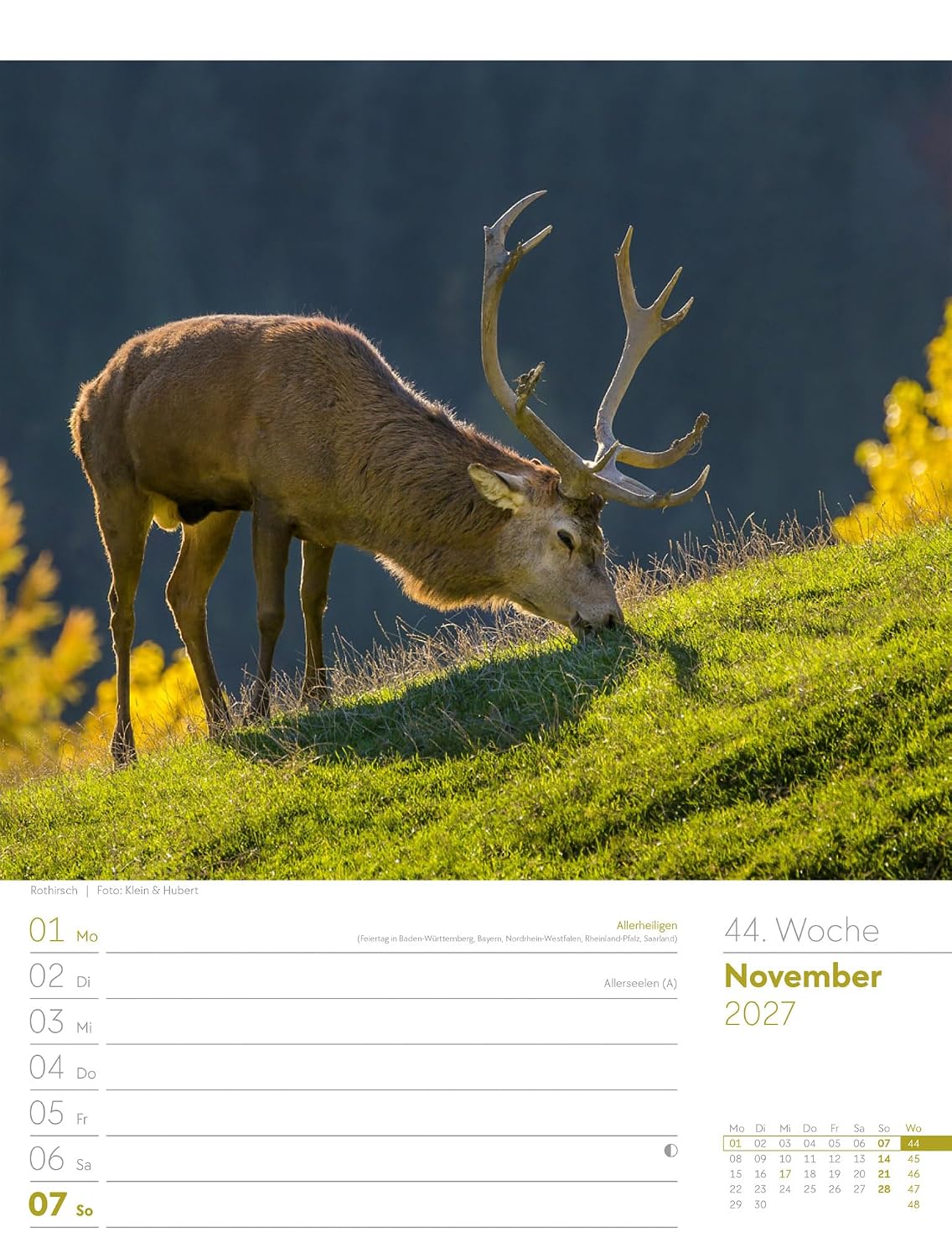 Unser Wald Wochenplaner Kalender 2027: Heimischer Natur-Wochenkalender im Hochformat (25x33 cm) | Mit Kreuzworträtseln, Sudokus & mehr – Bild 49