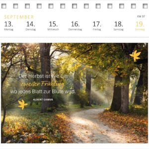 Postkartenkalender 365 Tage Achtsamkeit 2027: Wochenkalender 2027, 53 Postkarten für achtsame Momente – Bild 5