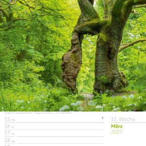 Unser Wald Wochenplaner Kalender 2027: Heimischer Natur-Wochenkalender im Hochformat (25x33 cm) | Mit Kreuzworträtseln, Sudokus & mehr – Bild 16