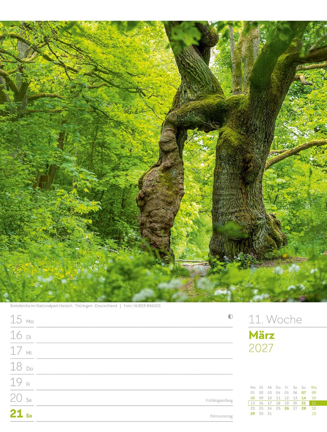 Unser Wald Wochenplaner Kalender 2027: Heimischer Natur-Wochenkalender im Hochformat (25x33 cm) | Mit Kreuzworträtseln, Sudokus & mehr – Bild 16