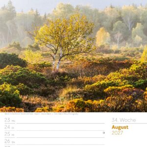 Unser Wald Wochenplaner Kalender 2027: Heimischer Natur-Wochenkalender im Hochformat (25x33 cm) | Mit Kreuzworträtseln, Sudokus & mehr – Bild 39