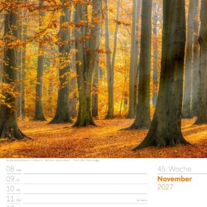 Unser Wald Wochenplaner Kalender 2027: Heimischer Natur-Wochenkalender im Hochformat (25x33 cm) | Mit Kreuzworträtseln, Sudokus & mehr – Bild 50