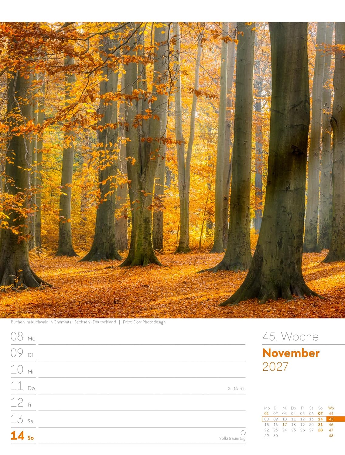 Unser Wald Wochenplaner Kalender 2027: Heimischer Natur-Wochenkalender im Hochformat (25x33 cm) | Mit Kreuzworträtseln, Sudokus & mehr – Bild 50