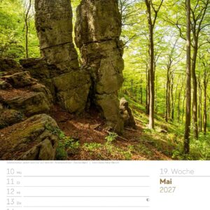 Unser Wald Wochenplaner Kalender 2027: Heimischer Natur-Wochenkalender im Hochformat (25x33 cm) | Mit Kreuzworträtseln, Sudokus & mehr – Bild 24