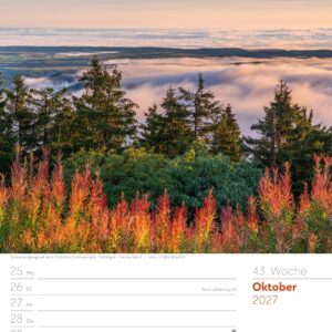 Unser Wald Wochenplaner Kalender 2027: Heimischer Natur-Wochenkalender im Hochformat (25x33 cm) | Mit Kreuzworträtseln, Sudokus & mehr – Bild 48