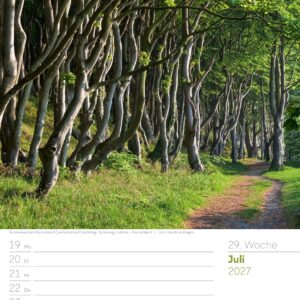 Unser Wald Wochenplaner Kalender 2027: Heimischer Natur-Wochenkalender im Hochformat (25x33 cm) | Mit Kreuzworträtseln, Sudokus & mehr – Bild 34