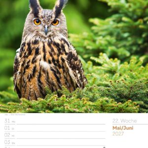 Unser Wald Wochenplaner Kalender 2027: Heimischer Natur-Wochenkalender im Hochformat (25x33 cm) | Mit Kreuzworträtseln, Sudokus & mehr – Bild 27
