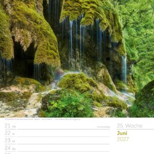 Unser Wald Wochenplaner Kalender 2027: Heimischer Natur-Wochenkalender im Hochformat (25x33 cm) | Mit Kreuzworträtseln, Sudokus & mehr – Bild 30