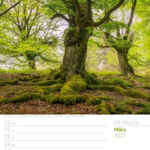 Unser Wald Wochenplaner Kalender 2027: Heimischer Natur-Wochenkalender im Hochformat (25x33 cm) | Mit Kreuzworträtseln, Sudokus & mehr – Bild 14