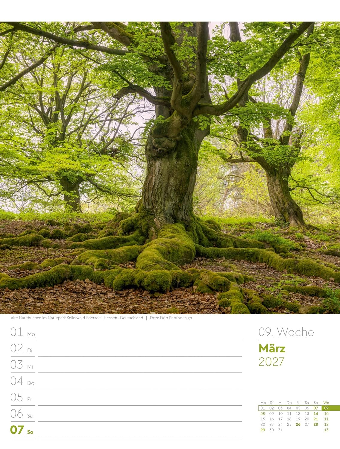 Unser Wald Wochenplaner Kalender 2027: Heimischer Natur-Wochenkalender im Hochformat (25x33 cm) | Mit Kreuzworträtseln, Sudokus & mehr – Bild 14