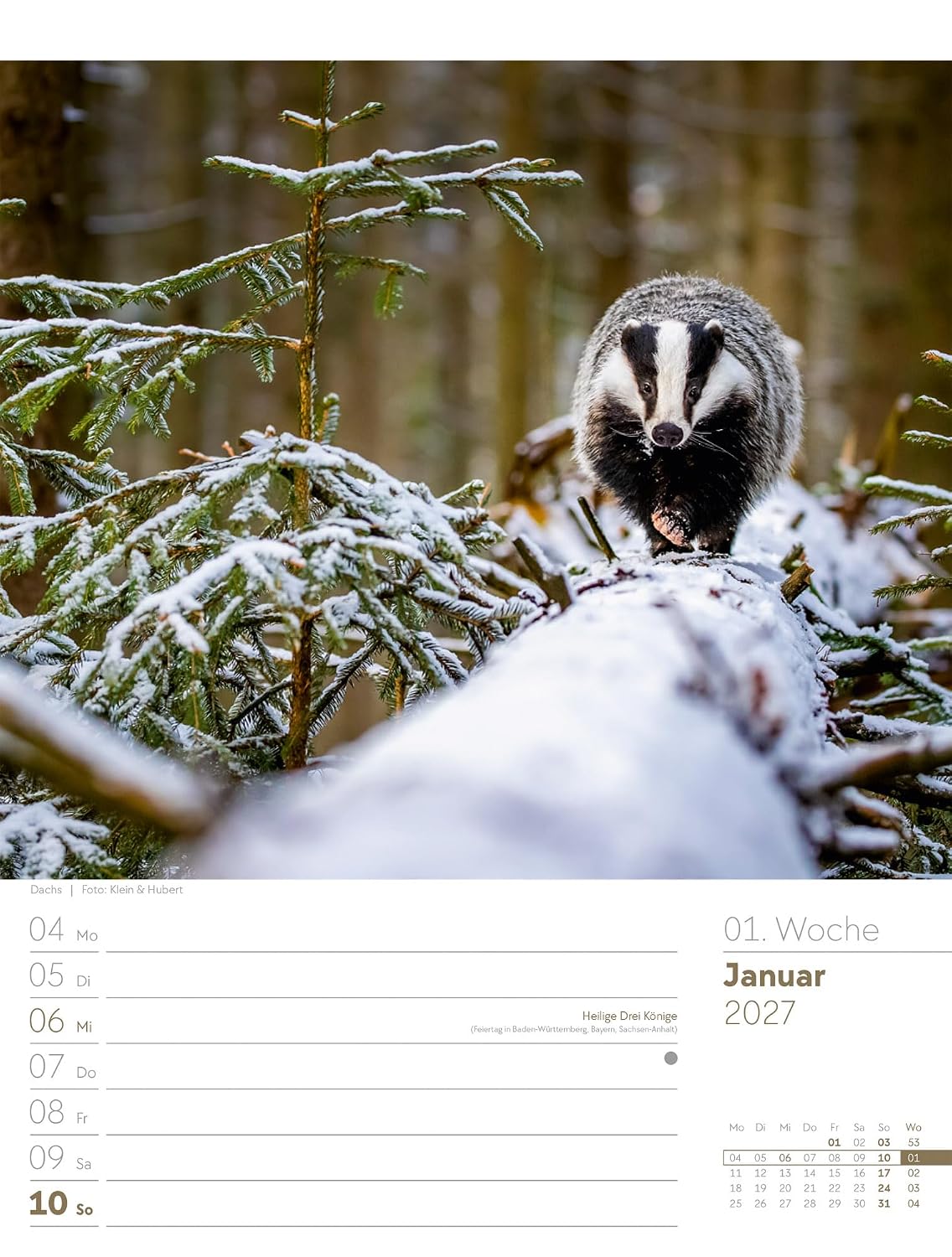 Unser Wald Wochenplaner Kalender 2027: Heimischer Natur-Wochenkalender im Hochformat (25x33 cm) | Mit Kreuzworträtseln, Sudokus & mehr – Bild 4
