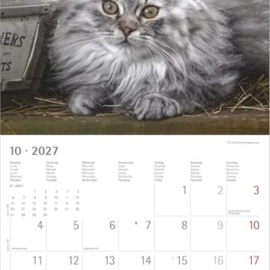 Samtpfötchen 2027: Wandkalender 30x30 cm (30x60 cm geöffnet) mit Notizkalendarium, 12 Katzenmotiven und Extra Poster – Bild 6