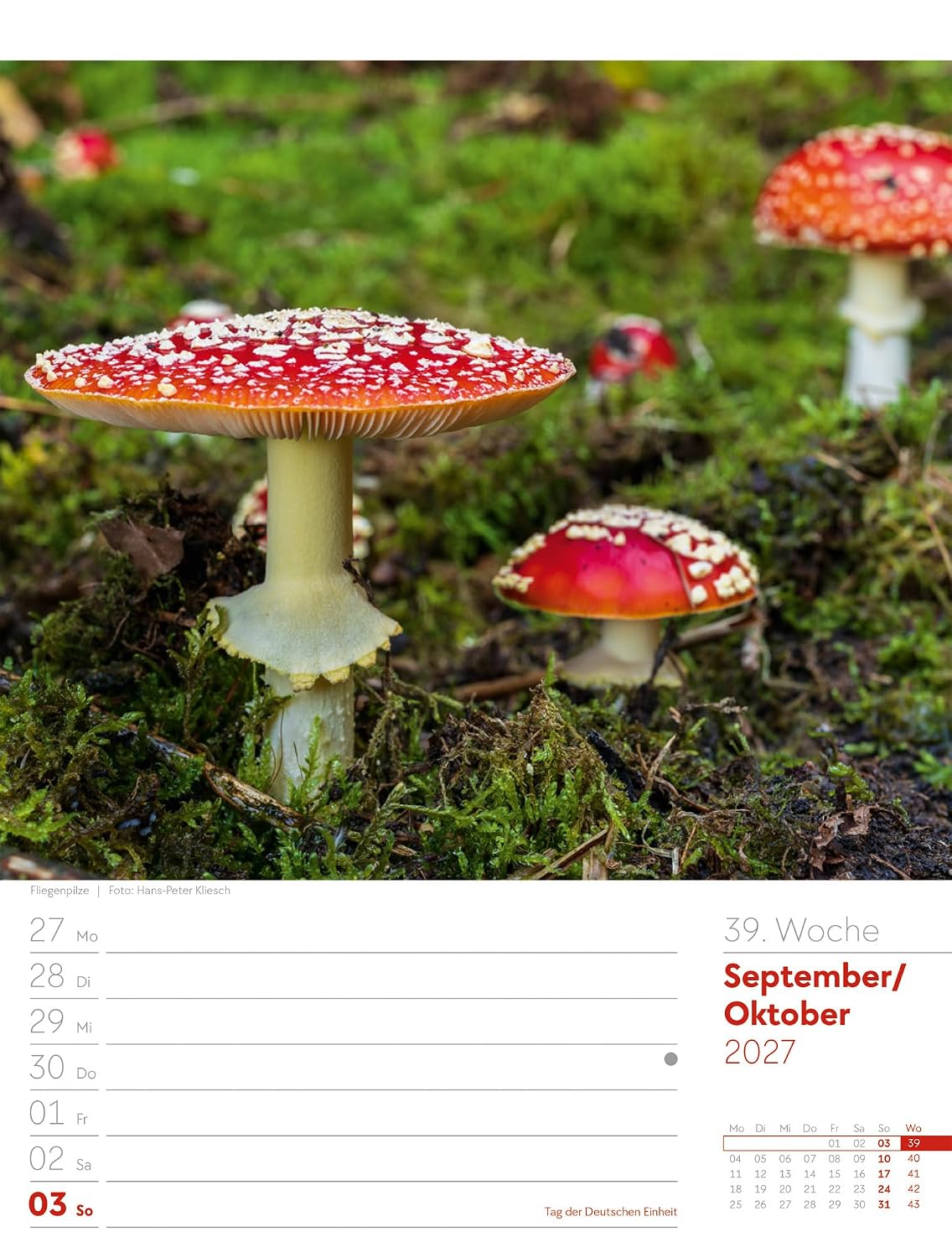 Unser Wald Wochenplaner Kalender 2027: Heimischer Natur-Wochenkalender im Hochformat (25x33 cm) | Mit Kreuzworträtseln, Sudokus & mehr – Bild 44