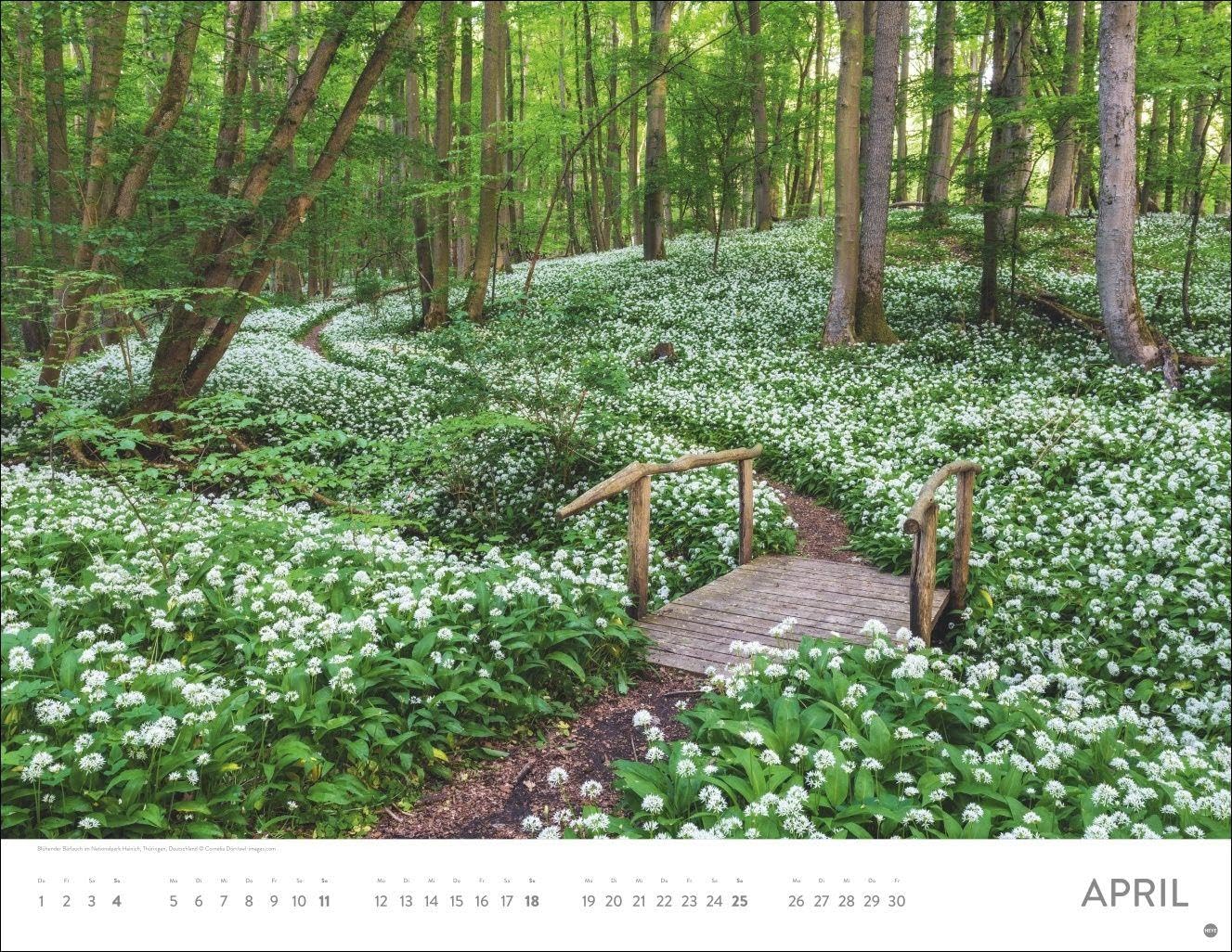Auf Traumpfaden Posterkalender 2027: Großer Foto-Wandkalender. Landschafts-Kalender 2027 mit Fotos atemberaubender Wege. 44 x 34 cm. Querformat. – Bild 5