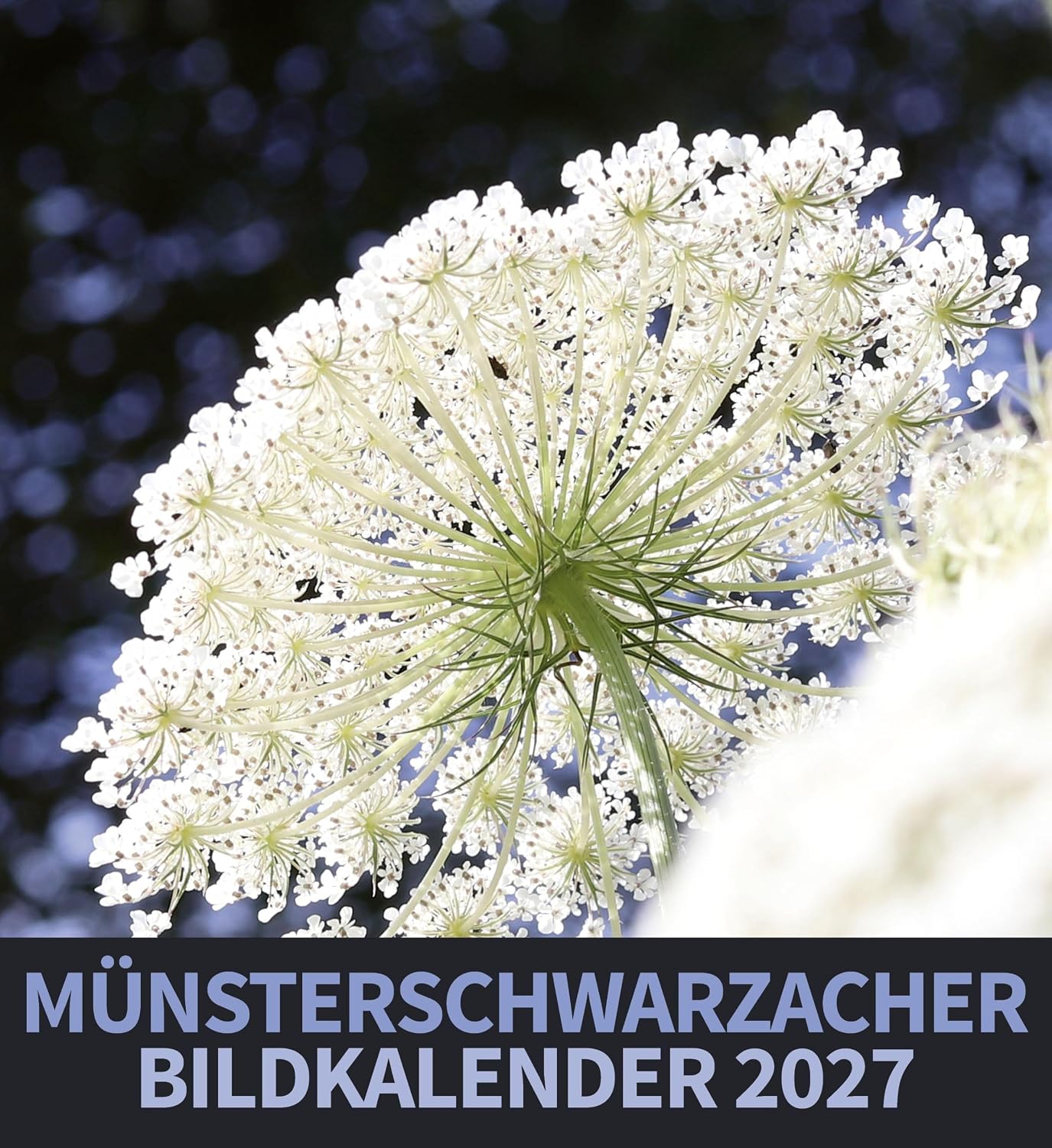 Münsterschwarzacher Bildkalender 2027 (Münsterschwarzacher Kalender)
