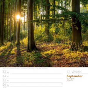 Unser Wald Wochenplaner Kalender 2027: Heimischer Natur-Wochenkalender im Hochformat (25x33 cm) | Mit Kreuzworträtseln, Sudokus & mehr – Bild 42