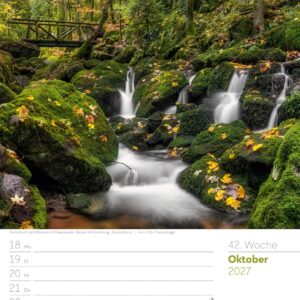 Unser Wald Wochenplaner Kalender 2027: Heimischer Natur-Wochenkalender im Hochformat (25x33 cm) | Mit Kreuzworträtseln, Sudokus & mehr – Bild 47
