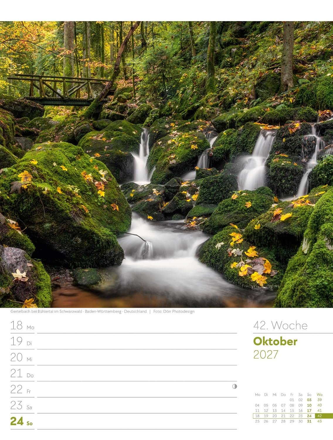 Unser Wald Wochenplaner Kalender 2027: Heimischer Natur-Wochenkalender im Hochformat (25x33 cm) | Mit Kreuzworträtseln, Sudokus & mehr – Bild 47