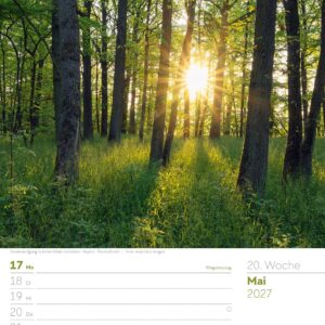 Unser Wald Wochenplaner Kalender 2027: Heimischer Natur-Wochenkalender im Hochformat (25x33 cm) | Mit Kreuzworträtseln, Sudokus & mehr – Bild 25