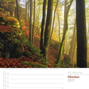 Unser Wald Wochenplaner Kalender 2027: Heimischer Natur-Wochenkalender im Hochformat (25x33 cm) | Mit Kreuzworträtseln, Sudokus & mehr – Bild 46