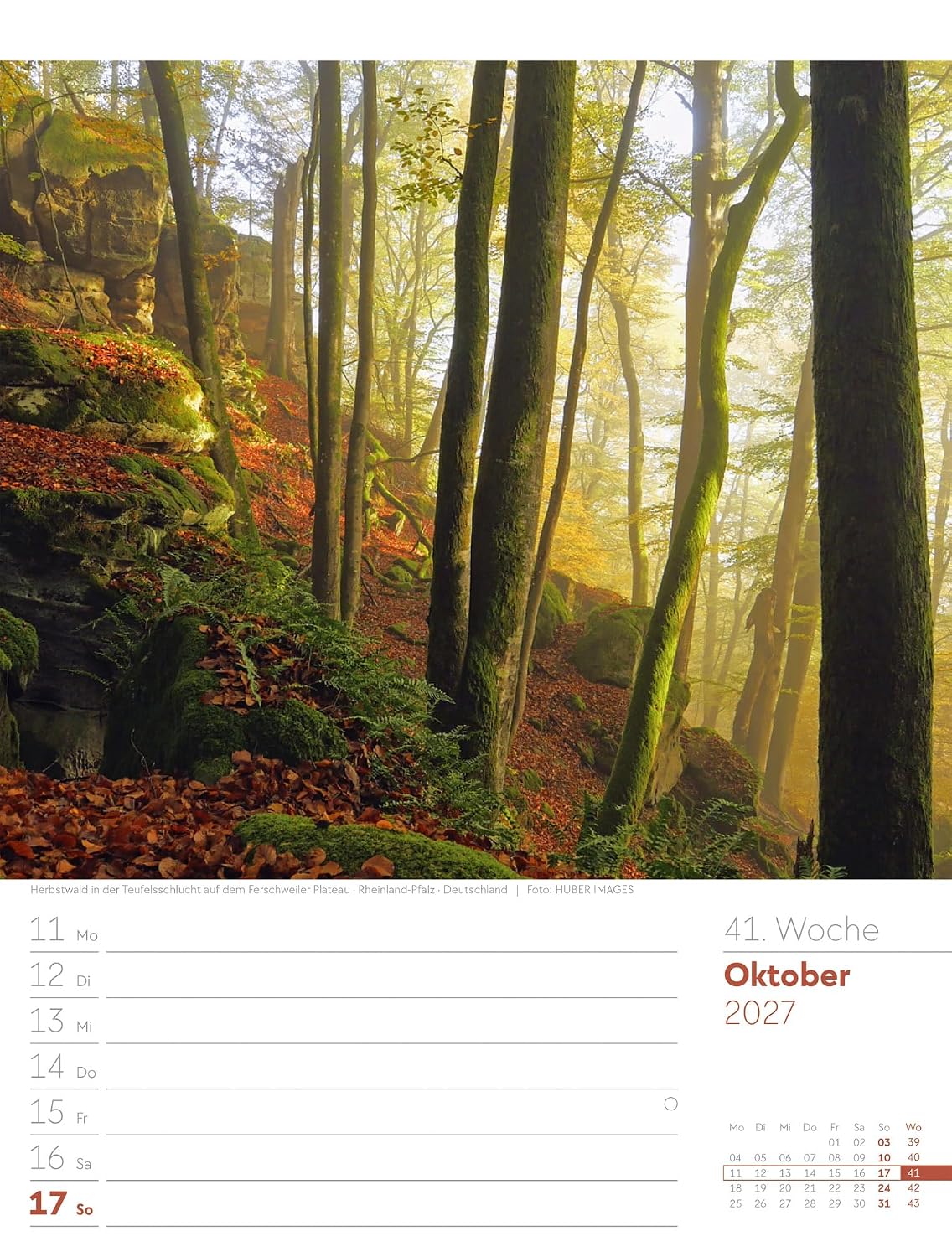 Unser Wald Wochenplaner Kalender 2027: Heimischer Natur-Wochenkalender im Hochformat (25x33 cm) | Mit Kreuzworträtseln, Sudokus & mehr – Bild 46