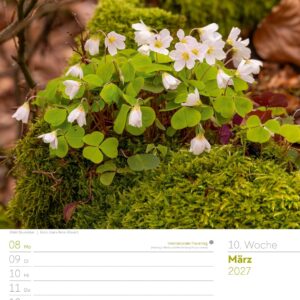 Unser Wald Wochenplaner Kalender 2027: Heimischer Natur-Wochenkalender im Hochformat (25x33 cm) | Mit Kreuzworträtseln, Sudokus & mehr – Bild 15