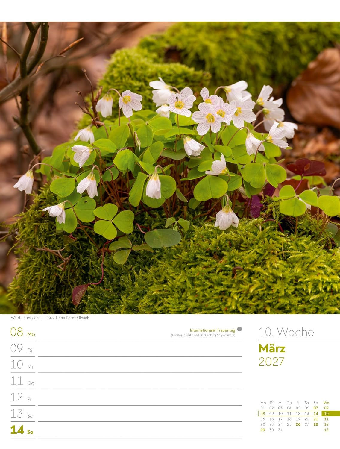 Unser Wald Wochenplaner Kalender 2027: Heimischer Natur-Wochenkalender im Hochformat (25x33 cm) | Mit Kreuzworträtseln, Sudokus & mehr – Bild 15