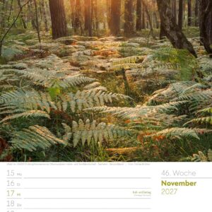 Unser Wald Wochenplaner Kalender 2027: Heimischer Natur-Wochenkalender im Hochformat (25x33 cm) | Mit Kreuzworträtseln, Sudokus & mehr – Bild 51