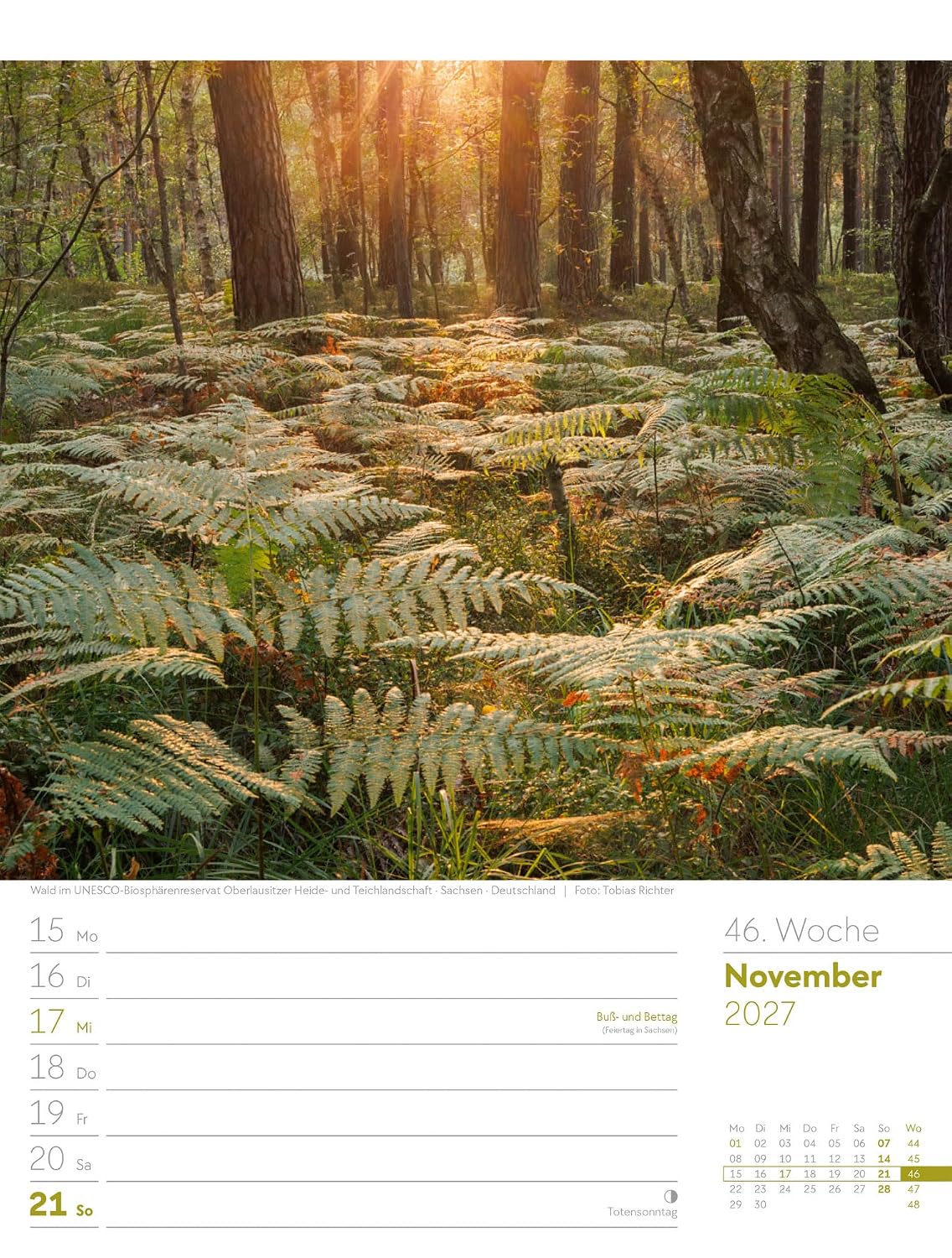 Unser Wald Wochenplaner Kalender 2027: Heimischer Natur-Wochenkalender im Hochformat (25x33 cm) | Mit Kreuzworträtseln, Sudokus & mehr – Bild 51