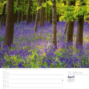 Unser Wald Wochenplaner Kalender 2027: Heimischer Natur-Wochenkalender im Hochformat (25x33 cm) | Mit Kreuzworträtseln, Sudokus & mehr – Bild 20