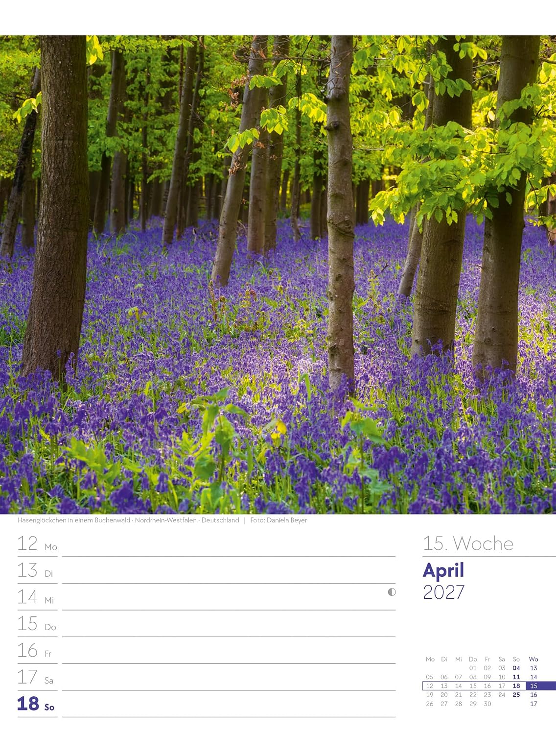 Unser Wald Wochenplaner Kalender 2027: Heimischer Natur-Wochenkalender im Hochformat (25x33 cm) | Mit Kreuzworträtseln, Sudokus & mehr – Bild 20
