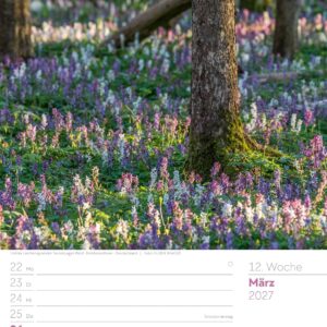 Unser Wald Wochenplaner Kalender 2027: Heimischer Natur-Wochenkalender im Hochformat (25x33 cm) | Mit Kreuzworträtseln, Sudokus & mehr – Bild 17