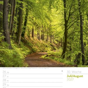 Unser Wald Wochenplaner Kalender 2027: Heimischer Natur-Wochenkalender im Hochformat (25x33 cm) | Mit Kreuzworträtseln, Sudokus & mehr – Bild 35