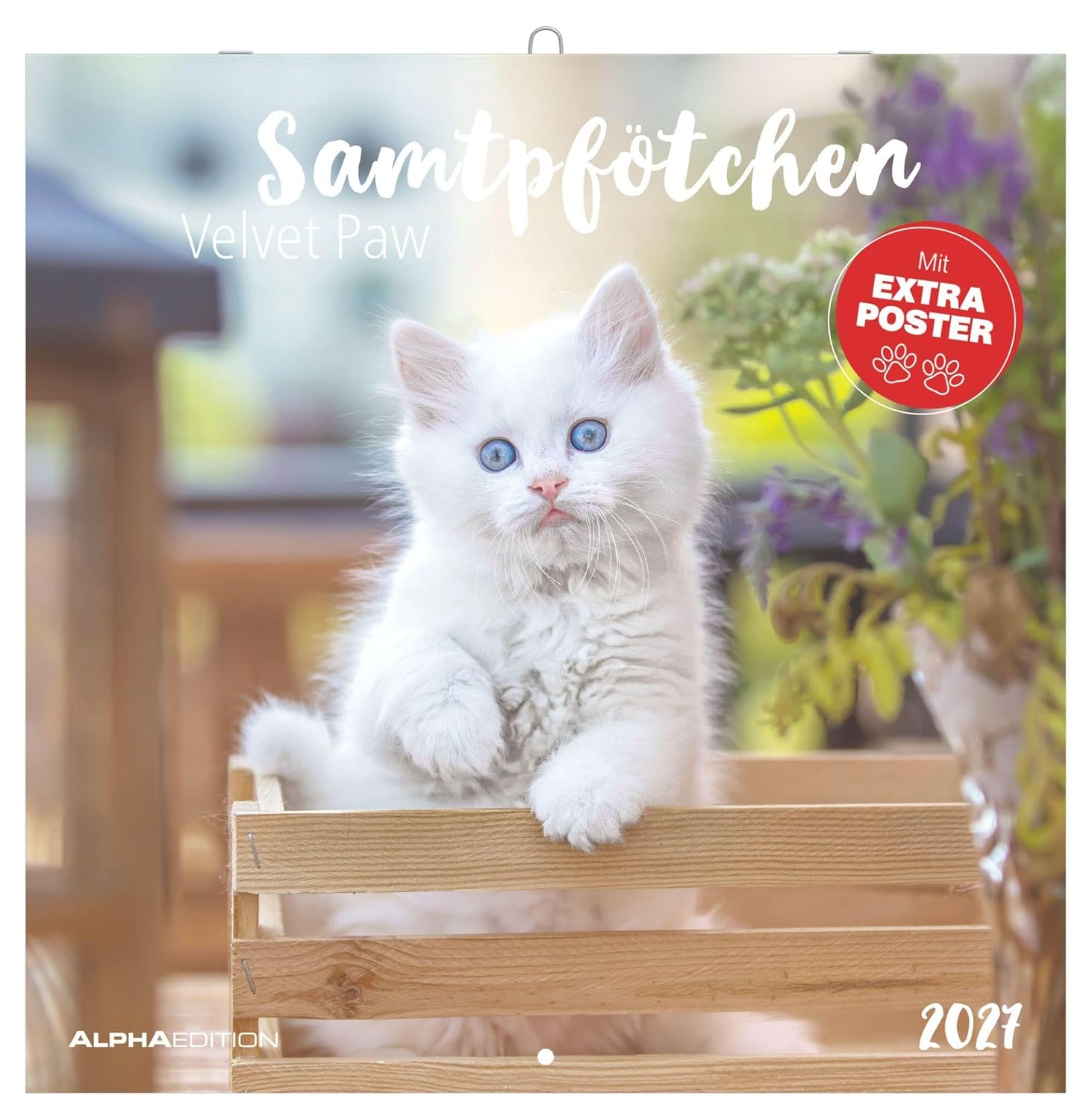Samtpfötchen 2027: Wandkalender 30x30 cm (30x60 cm geöffnet) mit Notizkalendarium, 12 Katzenmotiven und Extra Poster