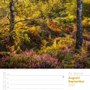 Unser Wald Wochenplaner Kalender 2027: Heimischer Natur-Wochenkalender im Hochformat (25x33 cm) | Mit Kreuzworträtseln, Sudokus & mehr – Bild 40