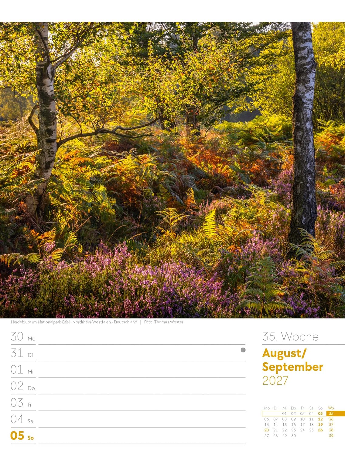 Unser Wald Wochenplaner Kalender 2027: Heimischer Natur-Wochenkalender im Hochformat (25x33 cm) | Mit Kreuzworträtseln, Sudokus & mehr – Bild 40