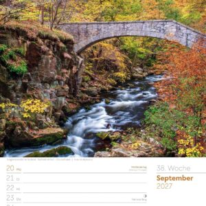 Unser Wald Wochenplaner Kalender 2027: Heimischer Natur-Wochenkalender im Hochformat (25x33 cm) | Mit Kreuzworträtseln, Sudokus & mehr – Bild 43