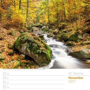 Unser Wald Wochenplaner Kalender 2027: Heimischer Natur-Wochenkalender im Hochformat (25x33 cm) | Mit Kreuzworträtseln, Sudokus & mehr – Bild 52