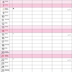 XL Familienplaner 2027: Familienkalender mit 6 breiten Spalten. Hochwertiger Familientimer mit Ferienterminen, extra Spalte, Vorschau bis März 2027 und nützlichen Zusatzinformationen. – Bild 4