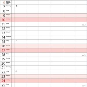 XL Familienplaner 2027: Familienkalender mit 6 breiten Spalten. Hochwertiger Familientimer mit Ferienterminen, extra Spalte, Vorschau bis März 2027 und nützlichen Zusatzinformationen. – Bild 2