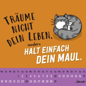 Mini-Kalender 2027: Neues Jahr neues … ach halt die Klappe!: Mini-Monatskalender. Kleiner Tischkalender zum Aufstellen mit Monatskalendarium und lustigen Sprüchen – Bild 2
