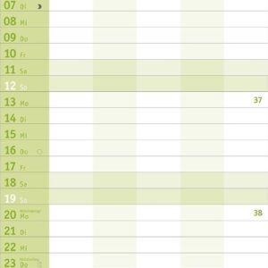 Basic Familienplaner 2027: Praktischer Wandplaner mit 5 Spalten. Familien-Wandkalender mit Schulferien und 3-Monats-Ausblick aufs Folgejahr. Terminkalender 2027. – Bild 10