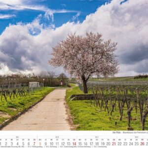 Die Pfalz 2027 Bildkalender A4 quer, spiralgebunden – Bild 4