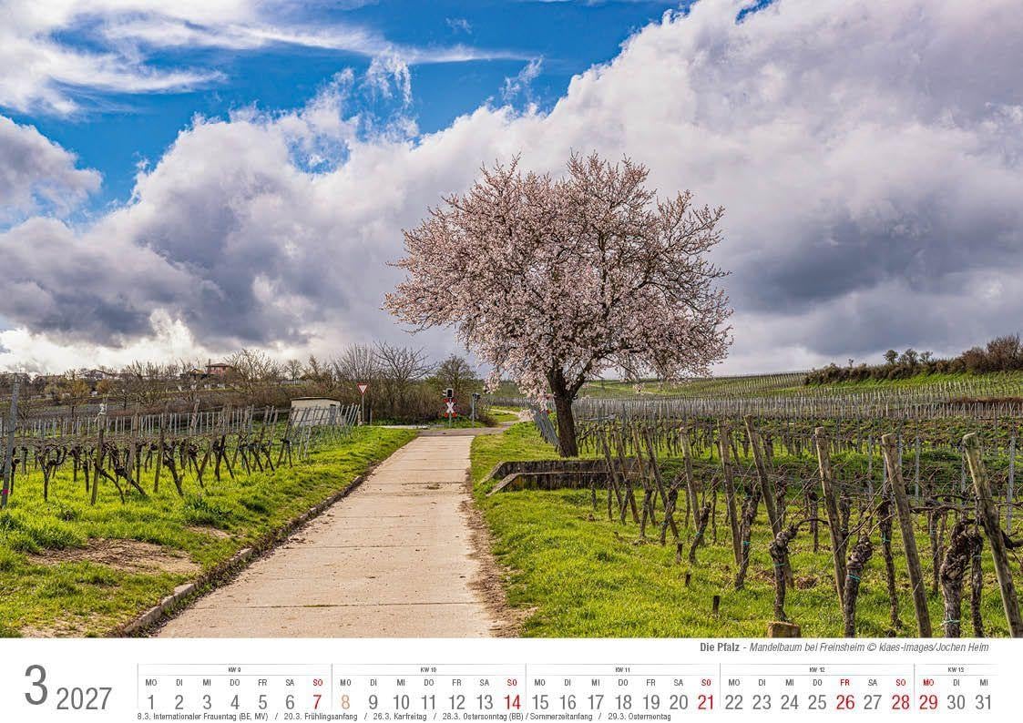Die Pfalz 2027 Bildkalender A4 quer, spiralgebunden – Bild 4