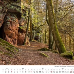 Die Pfalz 2027 Bildkalender A4 quer, spiralgebunden – Bild 5