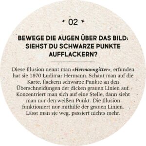 Adventskalender in der Dose. 24 optische Illusionen – Bild 3